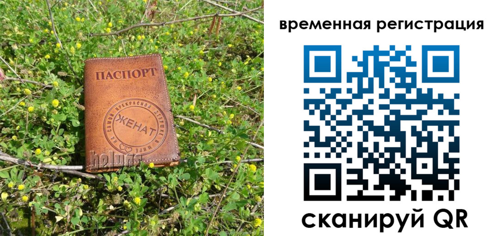 прописка регистрация в Данкове